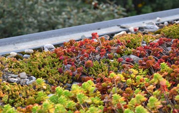 the cost of Well Place green roof installation
