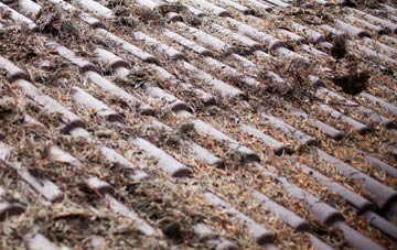 Well Place roof cleaning companies