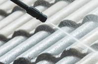 rated Well Place roof cleaning companies